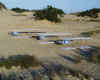 Gliders front r diag s.jpg (157031 bytes)